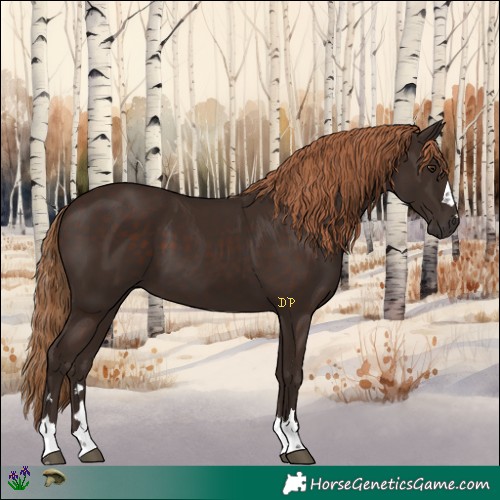 Horse Color:Liver Chestnut 