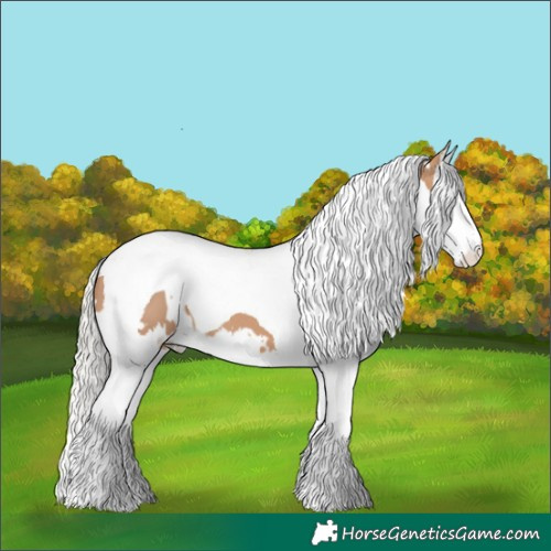 Horse Color:White Spotted Silver Bay Dun Splash Tobiano 