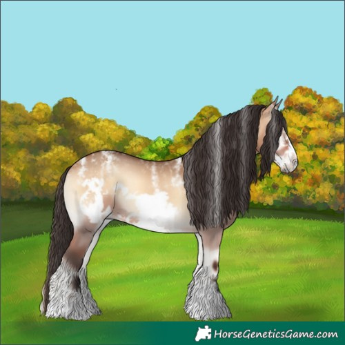 Horse Color:Powder White Bay Onyx Frame 