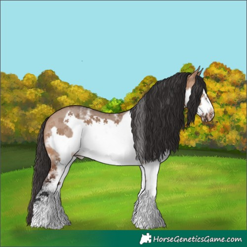Horse Color:White Spotted Bay Dun Frame Rabicano 