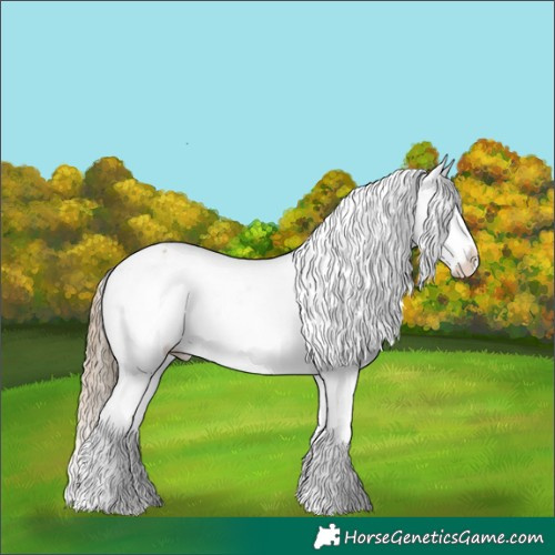 Horse Color:Red Dun Onyx Splash Tobiano Appaloosa 
