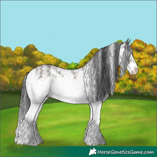Horse Color:White Spotted Grullo Splash 