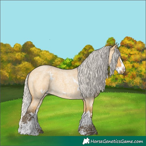 Horse Color:White Spotted Silver Buckskin Roan Dun Splash 