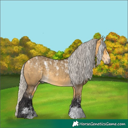 Horse Color:Powder White Silver Buckskin Dun Rabicano 
