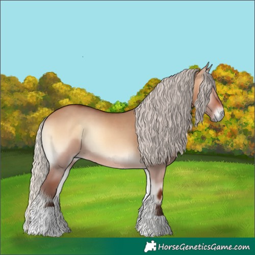 Horse Color:Silver Bay Onyx Tobiano Rabicano 