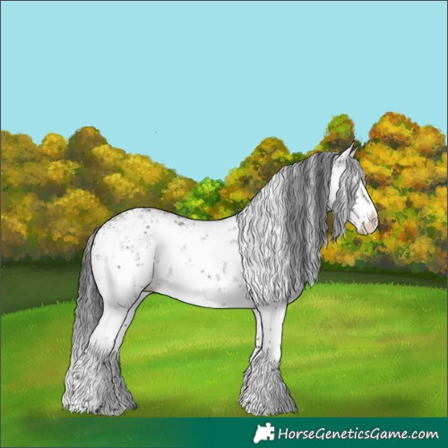 Horse Color:White Spotted Grullo Sabino Splash Rabicano 
