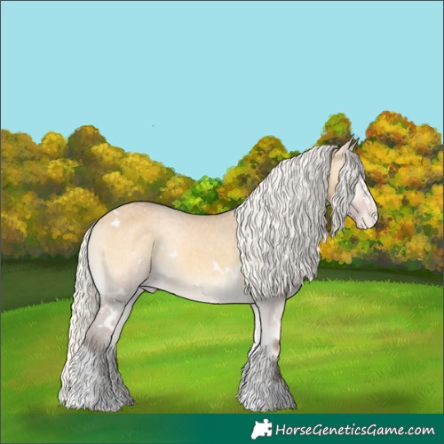 Horse Color:White Spotted Silver Buckskin Onyx Varnish Rabicano 
