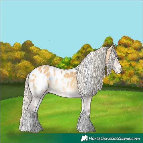 Horse Color:White Spotted Silver Buckskin Onyx Sabino Appaloosa Rabicano 