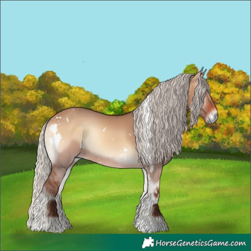 Horse Color:White Spotted Silver Brown Onyx Rabicano 