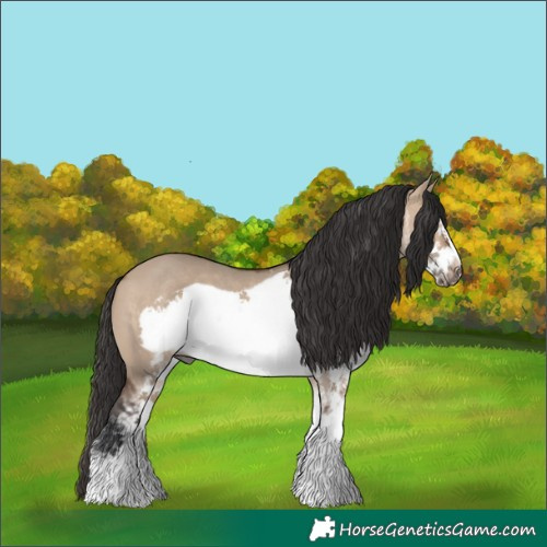 Horse Color:White Spotted Brown Dun Frame Rabicano 