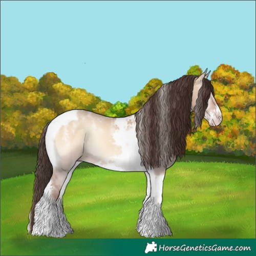 Horse Color:Powder White Amber Champagne Onyx Tobiano Frame Rabicano 