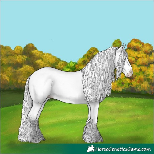 Horse Color:Silver Smoky Creme Dun Sabino Splash Rabicano 