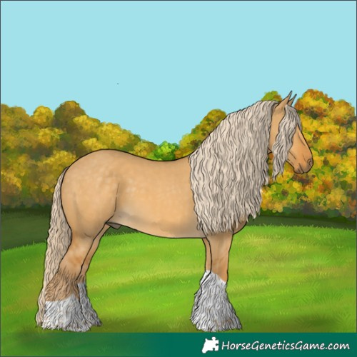Horse Color:Palomino Dun Tobiano Rabicano 