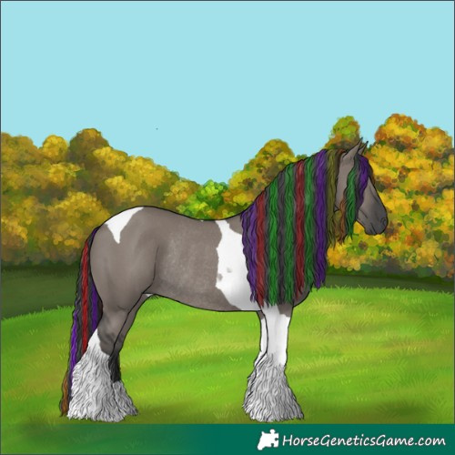 Horse Color:Painted Grullo Tobiano Rabicano 