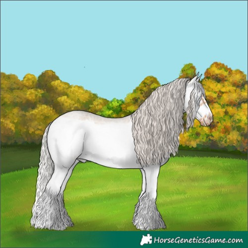 Horse Color:Silver Bay Roan Dun Sabino Splash Frame Rabicano 