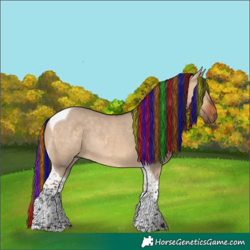 Horse Color:Painted Bay Dun Tobiano Rabicano 