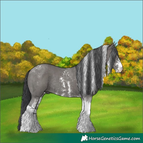 Horse Color:Grullo Sabino Tobiano Rabicano 