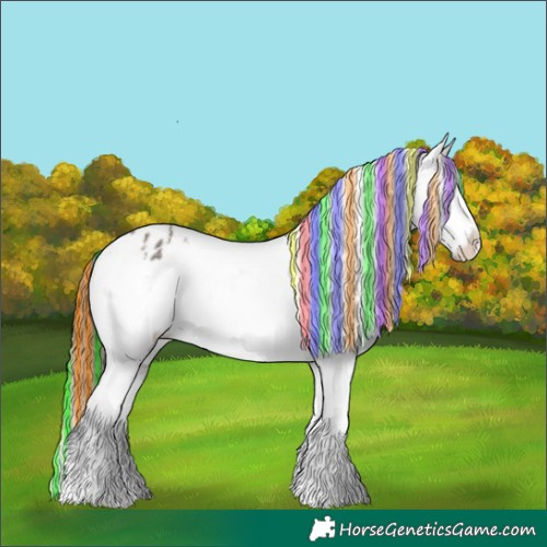 Horse Color:Painted Grullo Tobiano Varnish Rabicano 