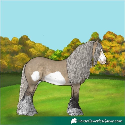 Horse Color:Silver Smoky Grullo Sabino Frame Rabicano 