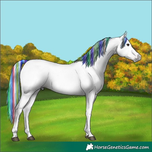Horse Color:Gray Painted Chestnut 