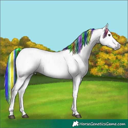 Horse Color:Gray Painted Chestnut 