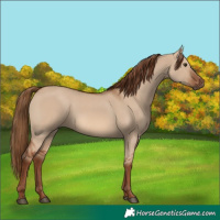Horse Color:Red Dun 