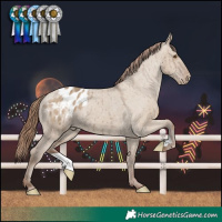 Horse Color:Classic Champagne Dun Varnish Brindle 