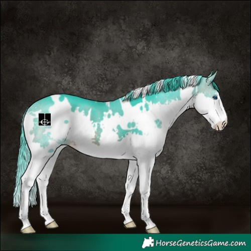 Horse Color:Watercolor White Spotted Brown Splash 