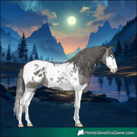 Horse Color:Grullo Splash Tobiano Varnish Rabicano 