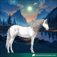 Horse Color:Silver Grullo Roan Splash Tobiano Blanket Rabicano 