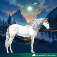Horse Color:Silver Brown Roan Dun Splash Tobiano Rabicano 