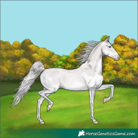 Horse Color:Platinum Chestnut Pearl Splash 