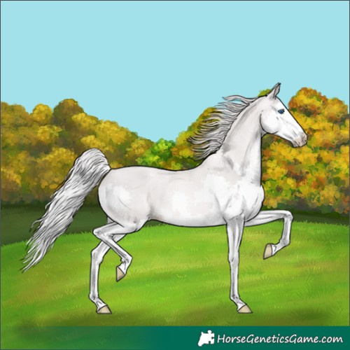 Horse Color:Platinum Chestnut Pearl Splash 