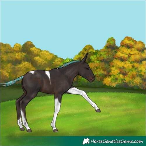Horse Color:Painted Silver Brown Tobiano 