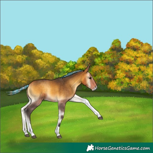 Horse Color:Painted Silver Buckskin Onyx Sabino Tobiano 