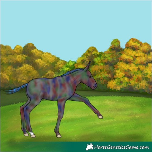 Horse Color:Painted Nacre Black 