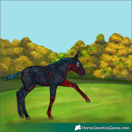 Horse Color:ERROR: UNKNOWN ANOMALY