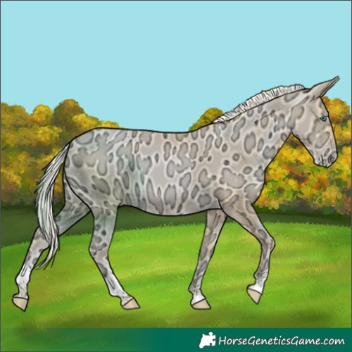 Horse Color:Palomino Ice Pearl 