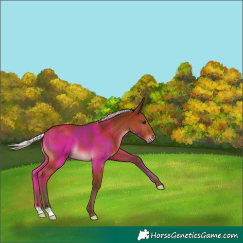 Horse Color:Silver Brown 