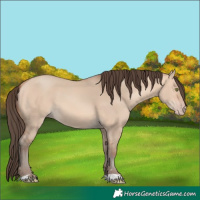 Horse Color:Amber Champagne Dun 