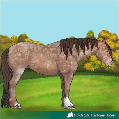 Horse Color:Amber Champagne Ice