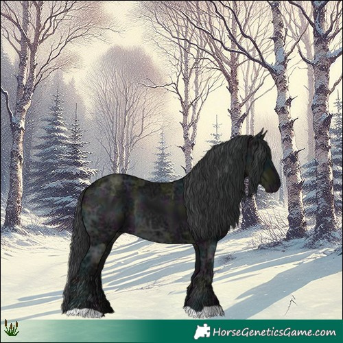 Horse Color:Midnight Black Ice