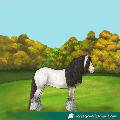 Horse Color:Buckskin Ice Roan 