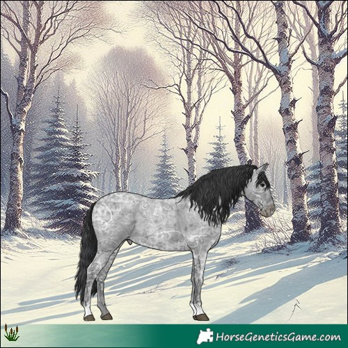 Horse Color:Blue Ice Roan 