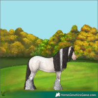Horse Color:Bay Ice Roan Dun Tobiano 