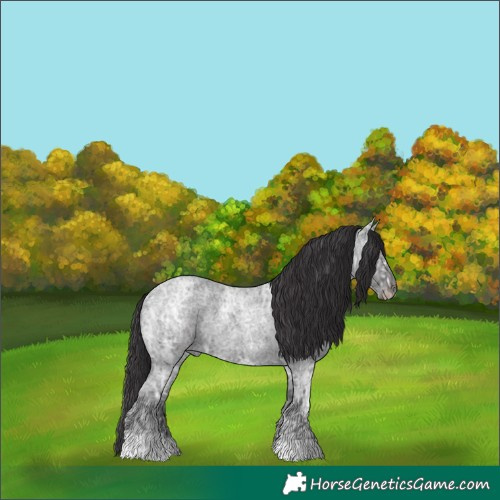 Horse Color:Smoky Blue Ice Roan 
