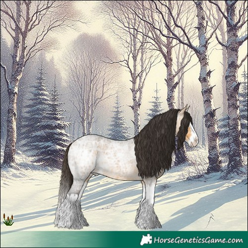 Horse Color:Buckskin Ice Roan Splash 