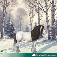 Horse Color:Buckskin Ice Roan Splash 