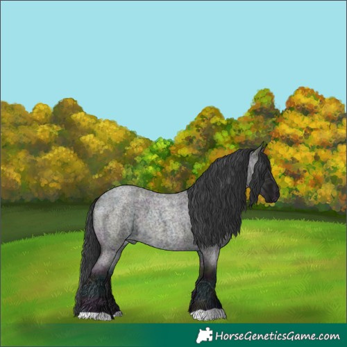 Horse Color:Midnight Grullo Ice Roan 