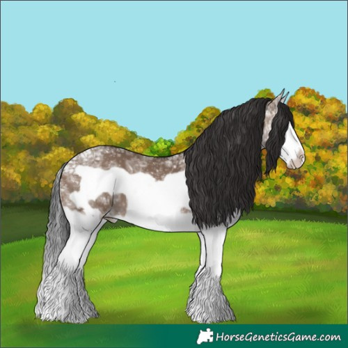 Horse Color:Brown Ice Dun Splash Frame 